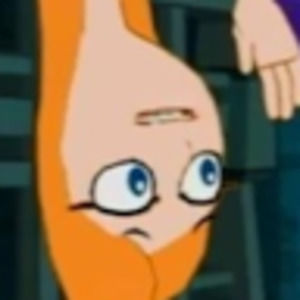 Meet your Posher, Shelby